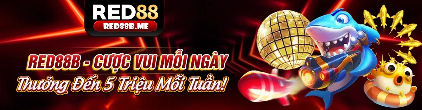 Hình ảnh đại diện về cá cược có trách nhiệm tại 999ok chính thức